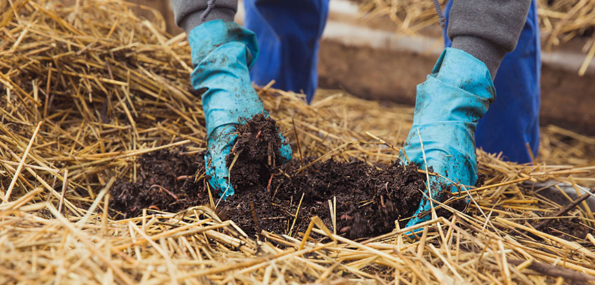 Organic soil fertilization service